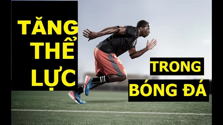 Phân Tích Hệ Thống Bài Tập Thể Lực Trong Bóng Đá Chuyên Nghiệp