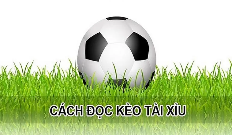 Chiến Thuật Phân Tích Kèo Tài Xỉu Và Cách Đọc Tỷ Lệ Từ Chuyên Gia